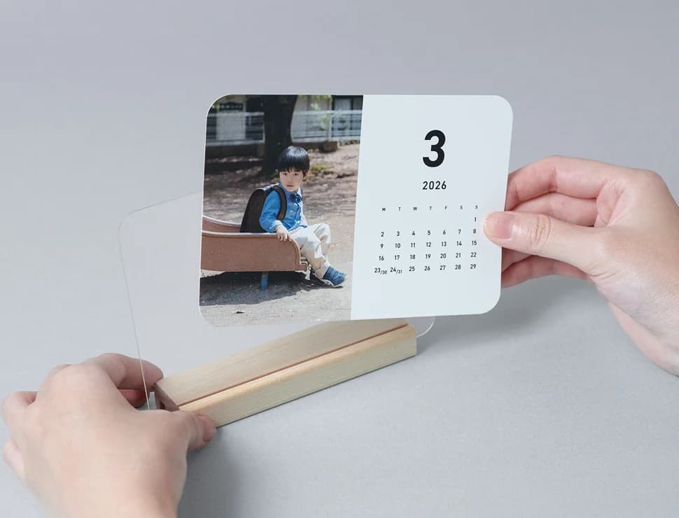 しまうまカレンダー はがきサイズ