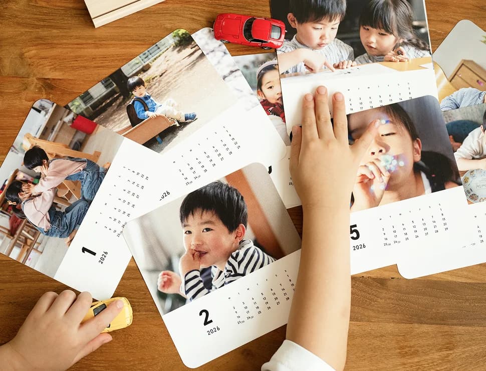 しまうまカレンダー はがきサイズ